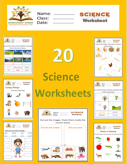Science different worksheets